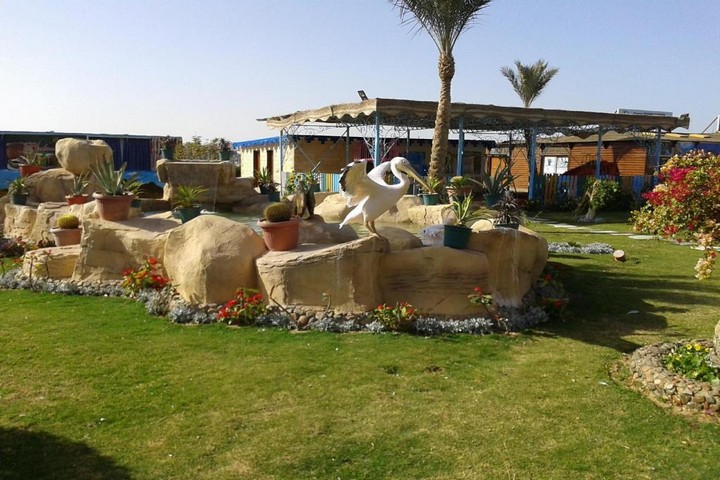 Hurghada - Hawaii Le Jardin 13