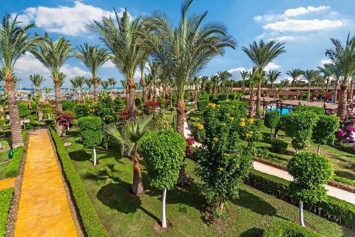 Hurghada - Hawaii Le Jardin 21