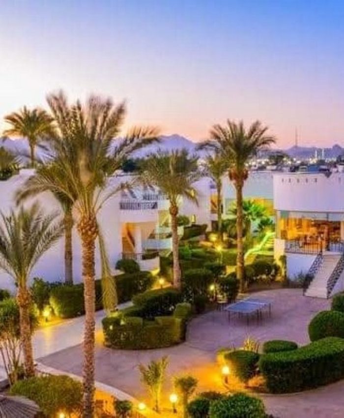 Sharm El Sheikh – Dive Inn